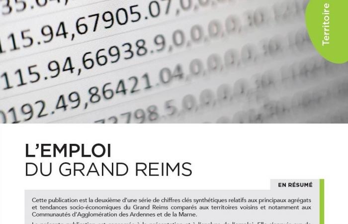 Présentation et analyse de l'emploi sur le Grand Reims