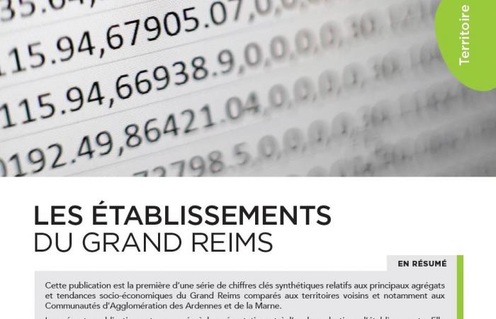Présentation et analyse du tissu d'établissements du Grand Reims